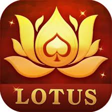 teen patti wink apk download
